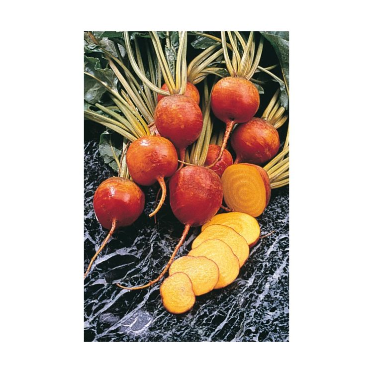 Gelbe Bete Golden Eye