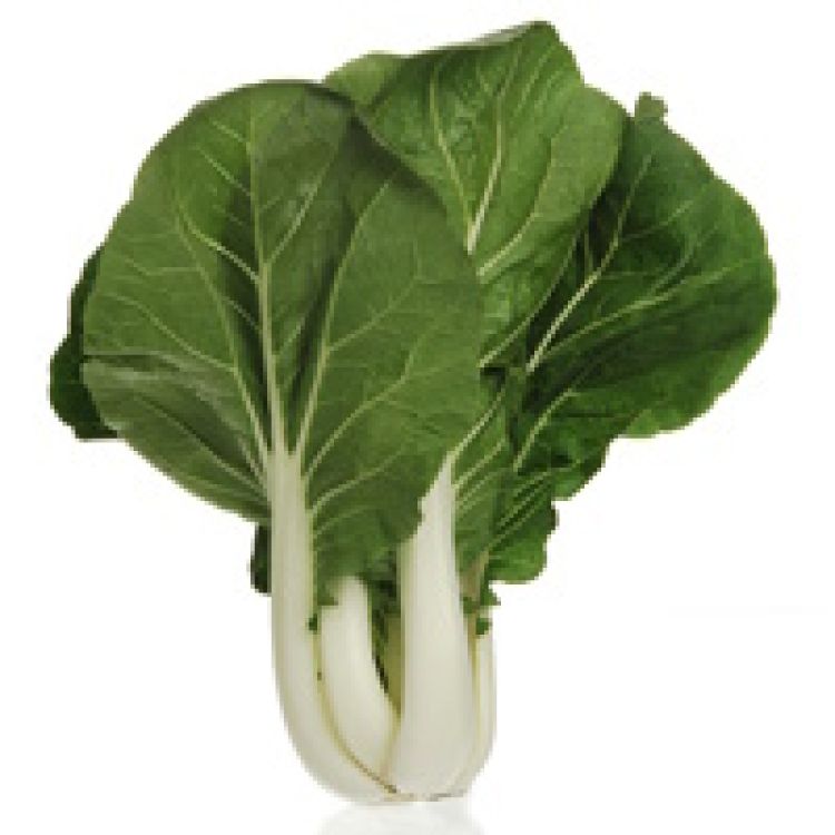 Pak Choi Joi  Choi