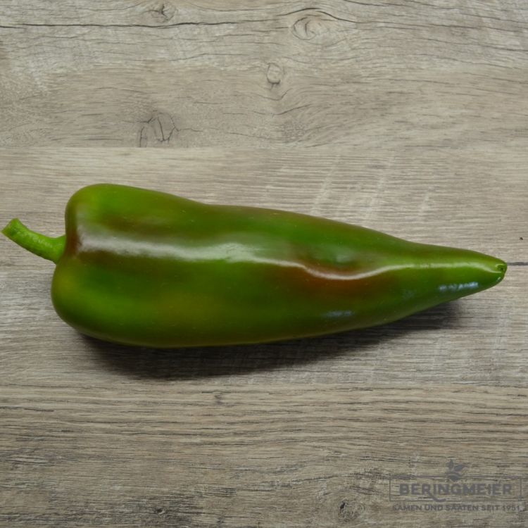 Spitzpaprika Palermo Rashford F1 ungeb. - grün geerntet