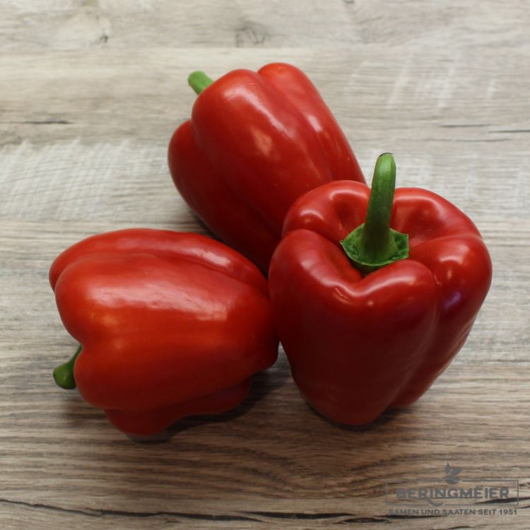 Paprika Mallentra F1 - Bio
