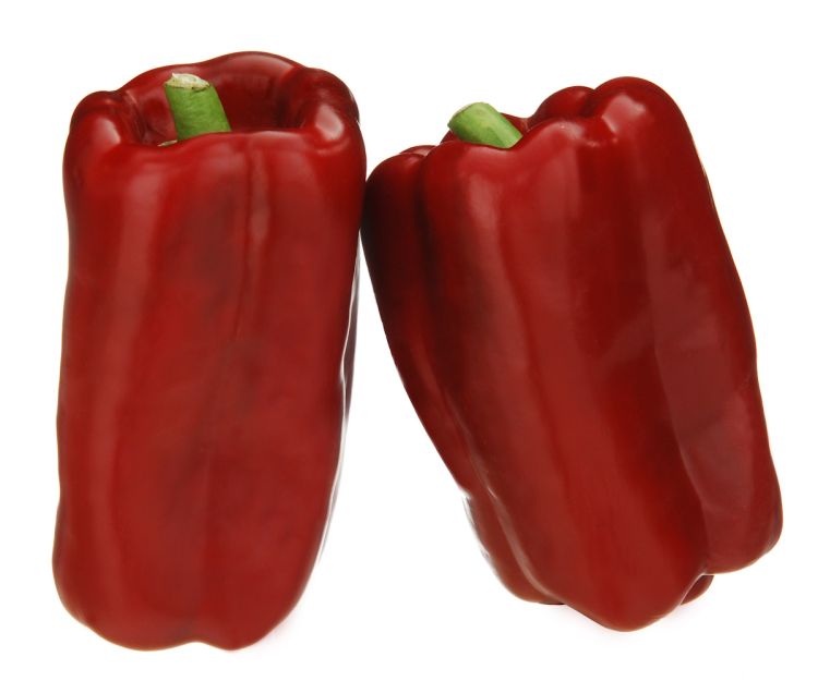 Paprika Adige F1 rot