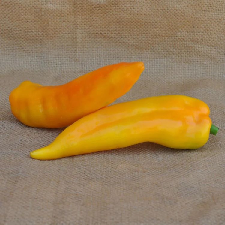 Paprika Corno Giallo