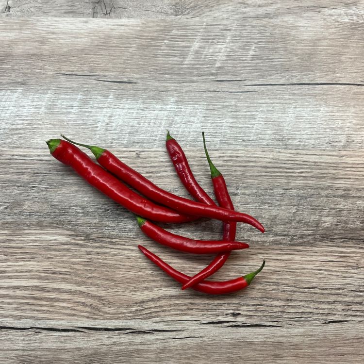 Peperoni Longhorn F1 - ungebeizt