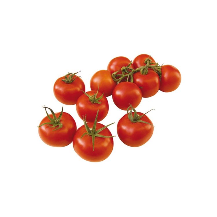 Rispentomate Serrat F1