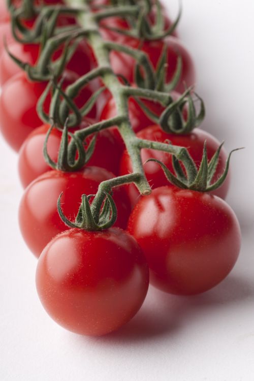 Cherrytomate Gourmelito F1 Foto Sakata
