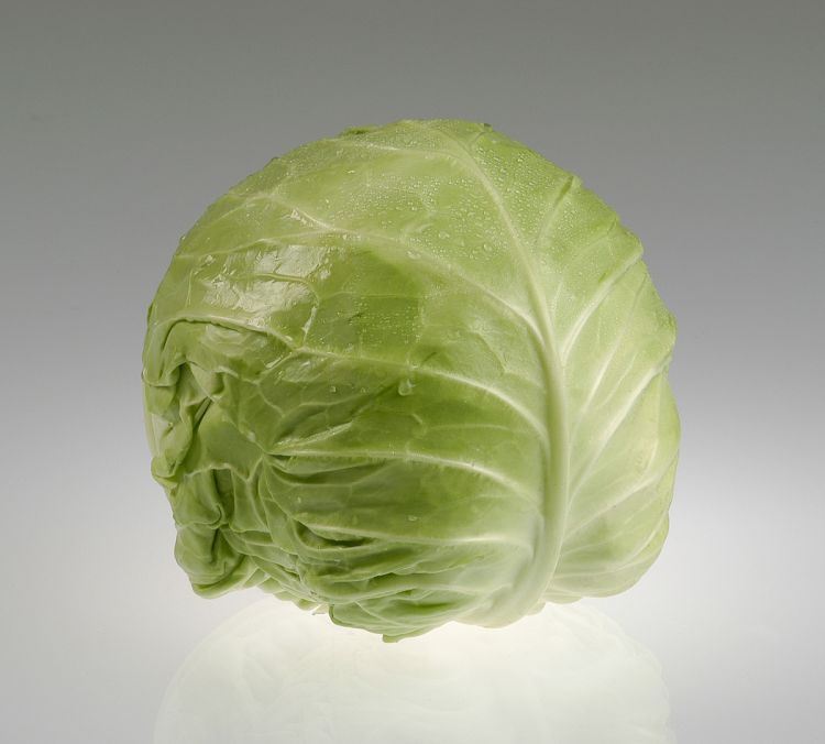 Weisskohl Nozomi F1 Foto Sakata