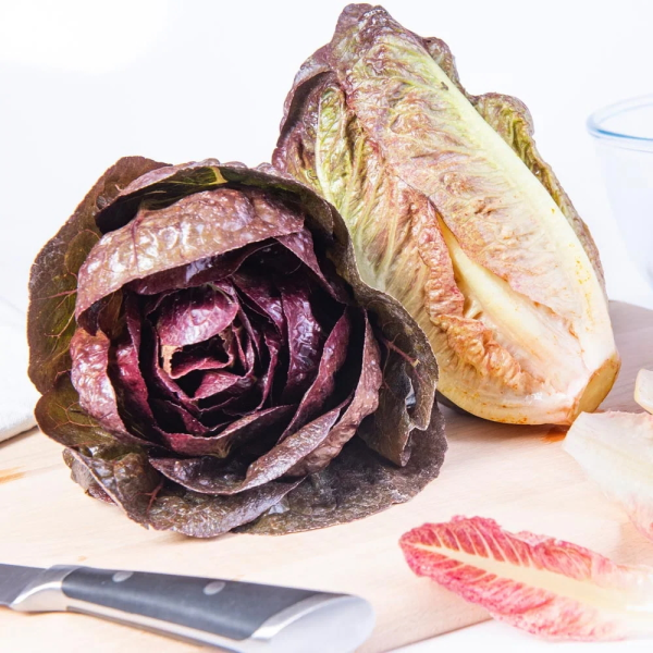 Romanasalat Mysteria  -Foto Gautier Semences