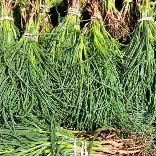 Agretti Bild Smarties