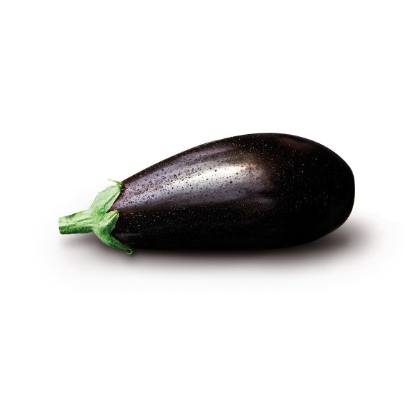 Aubergine Amalia F1 - Bio