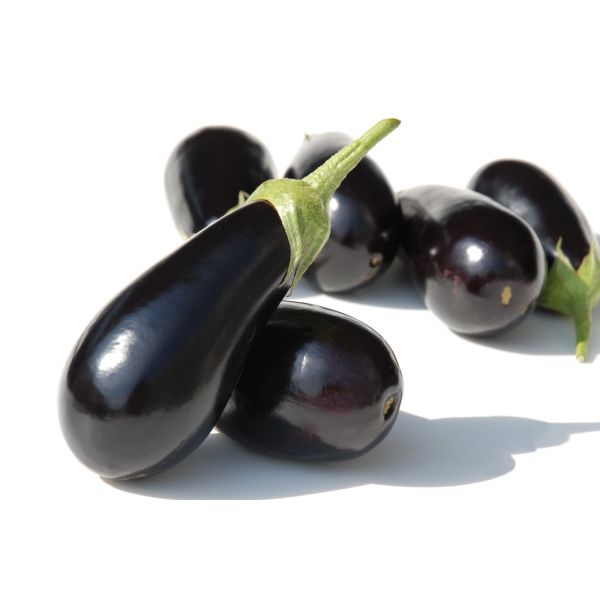 Aubergine Shakira F1