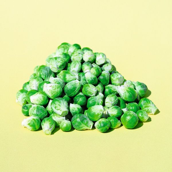 Rosenkohl Nautic F1 - Foto bejo Samen GmbH
