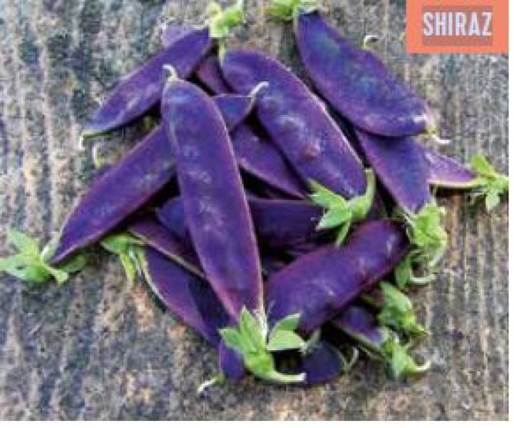 Zuckererbsen Norli ungebeizt