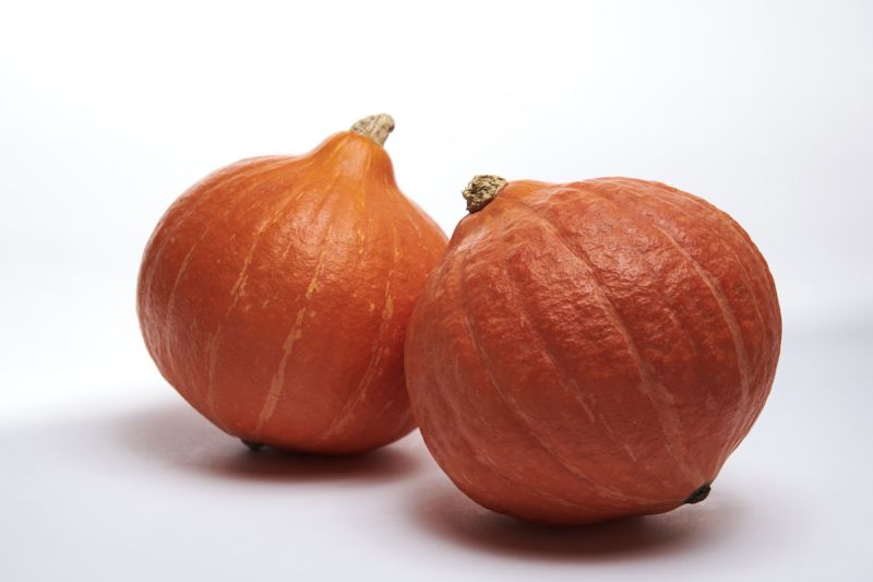 Hokkaido Kürbis Kolinky Foto Sakata