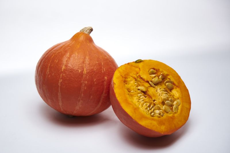 Hokkaido Kürbis Kolinky Foto Sakata