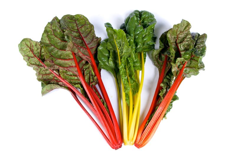 Mangold Celebration groß