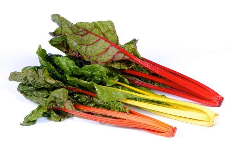 Mangold Celebration lang