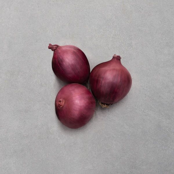 Zwiebeln Red Spring F1 - Foto bejo Samen GmbH