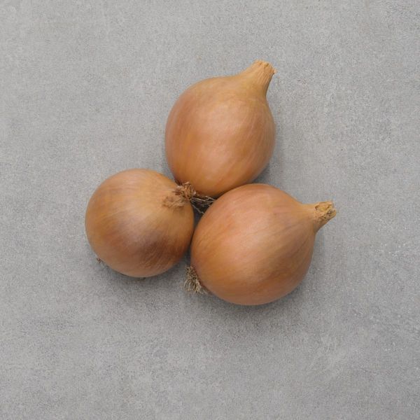 Zwiebeln Hysinger - Foto bejo Samen GmbH