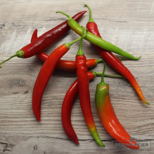 Scharfer Paprika Cohiba F1 - milder Peperoni