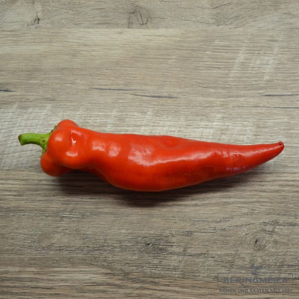 Spitzpaprika Cooper F1 - ungebeizt