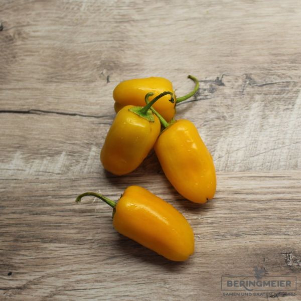 Paprika Radja F1 - ungebeizt