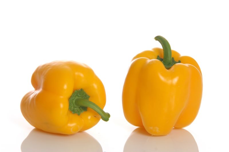 Paprika Espartano F1 - ungebeizt