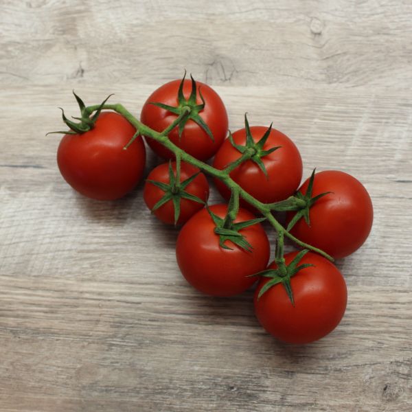 Tomate Campos