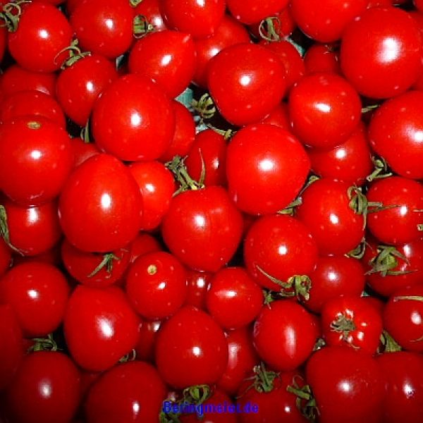 Cherrytomate Sweet Million F1