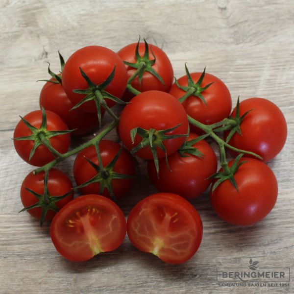 Tomaten Philovita F1