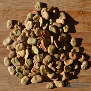 Dicke Bohnen/Puffbohnen Eleonora (Buschbohnen) - Bio