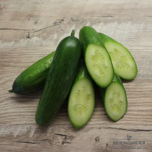 Freilandgurken Sonja - Bio