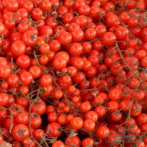 Cherrytomate Rote Murmel - Bio